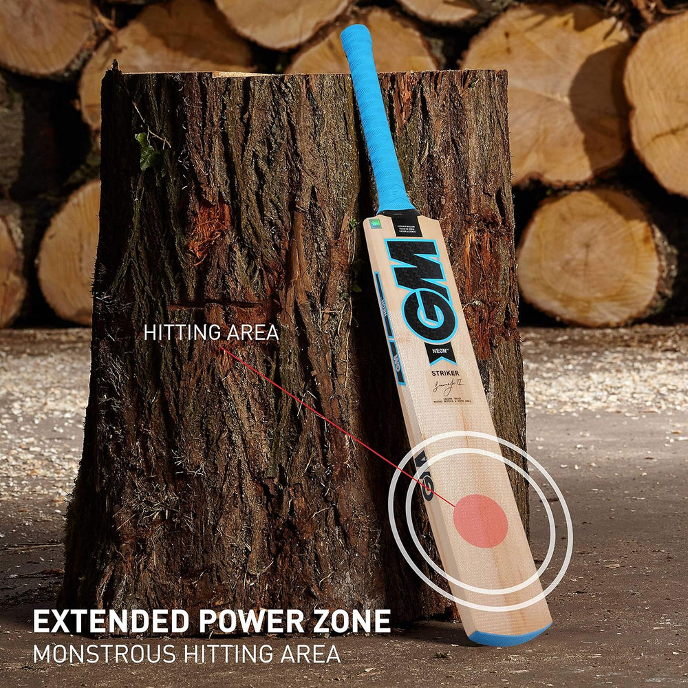 GM Neon Striker Kashmir Willow Cricket Bat – Durable Lightweight Bat for Beginners & Casual Cricketers with Traditional Shape and Powerful Stroke Play - Best Price online Prokicksports.com