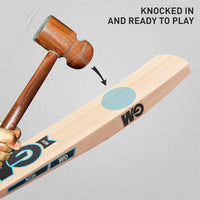 GM Neon Striker Kashmir Willow Cricket Bat – Durable Lightweight Bat for Beginners & Casual Cricketers with Traditional Shape and Powerful Stroke Play - Best Price online Prokicksports.com