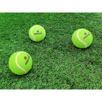 Prokick Plastic Cricket Set for Kids â€“ Lightweight Yellow Cricket Kit with Bat, Ball & Stumps for Outdoor Fun and Beginner Practice - Best Price online Prokicksports.com