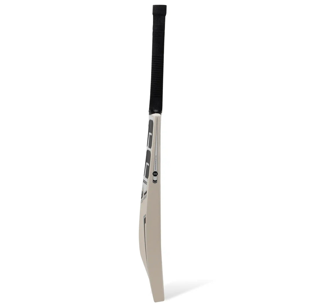 SS Power Kashmir Willow Cricket Bat - image 3