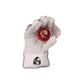 SG RSD Prolite Wicket Keeping Gloves, Men's - Best Price online Prokicksports.com