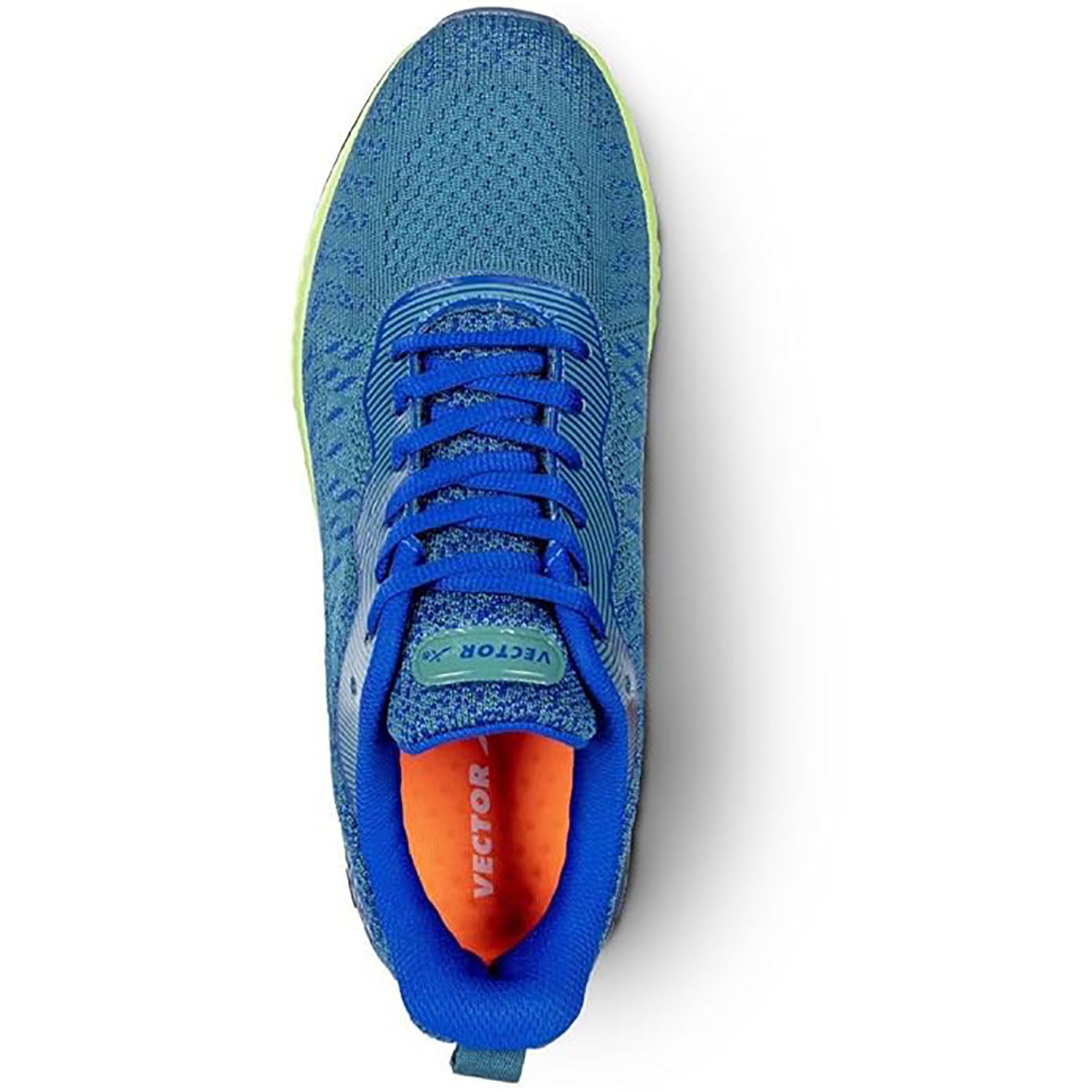 Vector X Reptile Jogging Shoe, Teal Green Blue | Lightweight & Durable Sports Shoes for Men | Stylish Trainers for Running, Gym & Walking - Best Price online Prokicksports.com