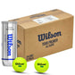Wilson Tour Premier Tennis Balls Carton (24 Cans) - Best Price online Prokicksports.com