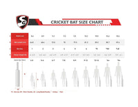 SG Hiscore Xtreme English Willow Cricket Bat - Best Price online Prokicksports.com