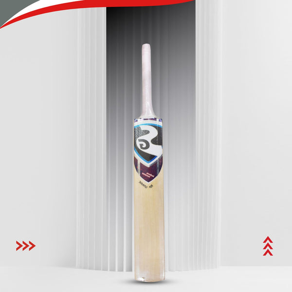SG RP Spark Kashmir Willow Cricket Bat