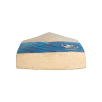 SG Liam Spunk English Willow Cricket Bat | Grade 2 Willow | Thick Edges&nbsp; - Best Price online Prokicksports.com