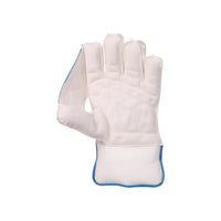 SG Tournament Wicket Keeping Gloves - Best Price online Prokicksports.com