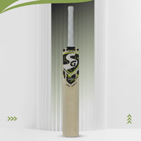 SG LIAM PUNCH Hybrid-Tec English Willow Cricket Bat - Best Price online Prokicksports.com