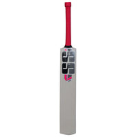 SS Ikon Kashmir Willow Cricket Bat - Best Price online Prokicksports.com