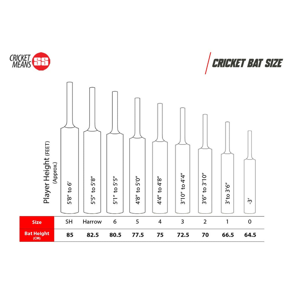 SS Ikon Kashmir Willow Cricket Bat - Best Price online Prokicksports.com