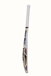 SS Master 100 Kashmir Willow Cricket Bat - Best Price online Prokicksports.com