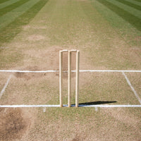 Prokick Wooden Cricket Stumps/Wickets with Bails (Pack of 6 Stumps/4 Bails) - Best Price online Prokicksports.com
