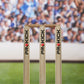 Prokick Wooden Cricket Stumps/Wickets with Bails (Pack of 6 Stumps/4 Bails) - Best Price online Prokicksports.com