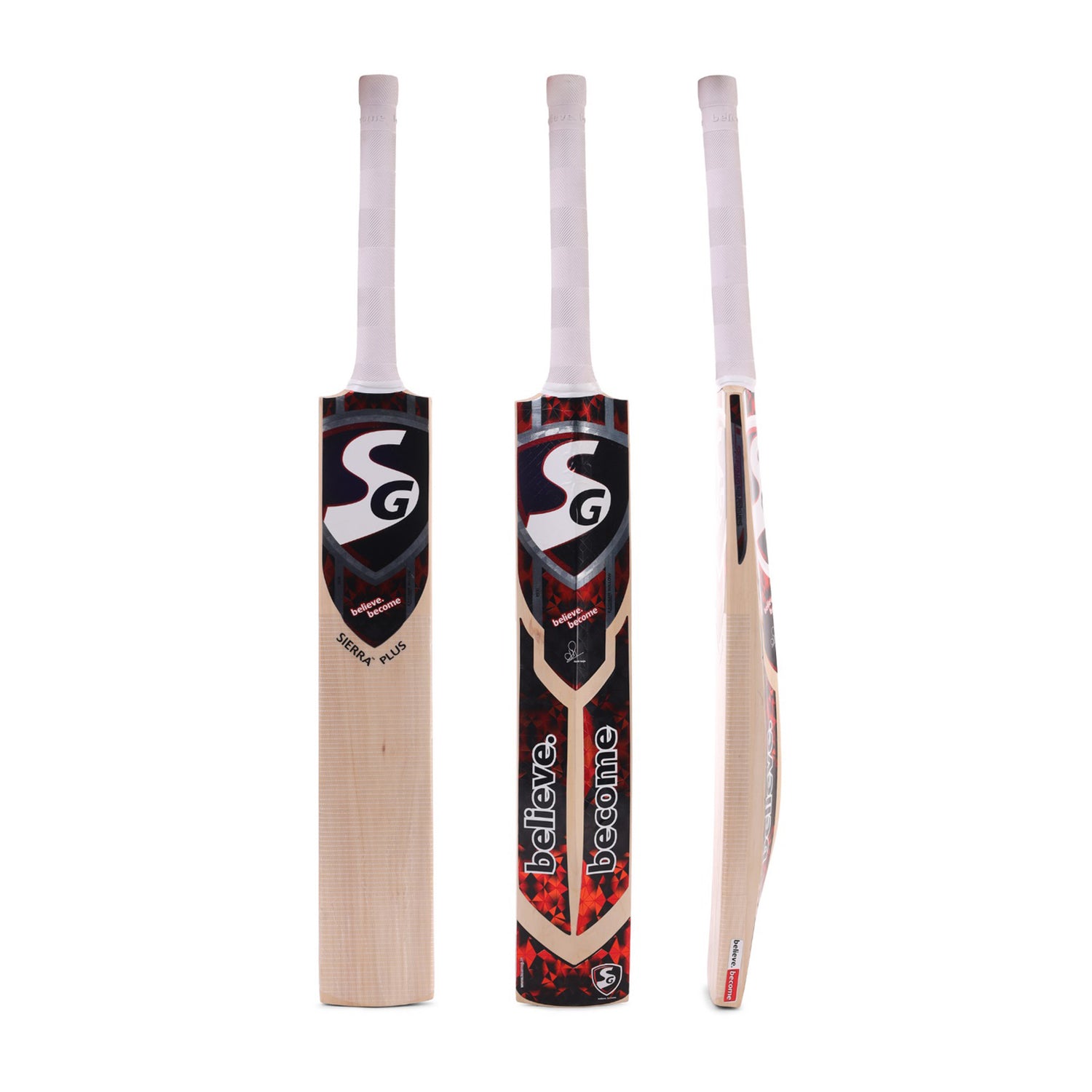 SG Sierra Plus Kashmir Willow Cricket Bat - Best Price online Prokicksports.com