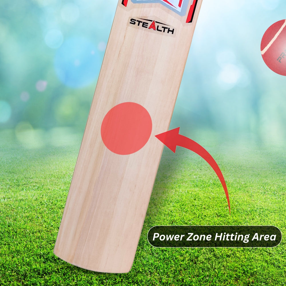 Prokick Stealth Kashmir Willow Cricket Bat - Best Price online Prokicksports.com