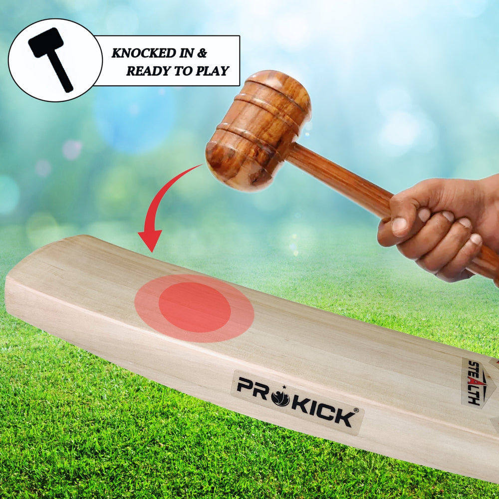 Prokick Stealth Kashmir Willow Cricket Bat - Best Price online Prokicksports.com