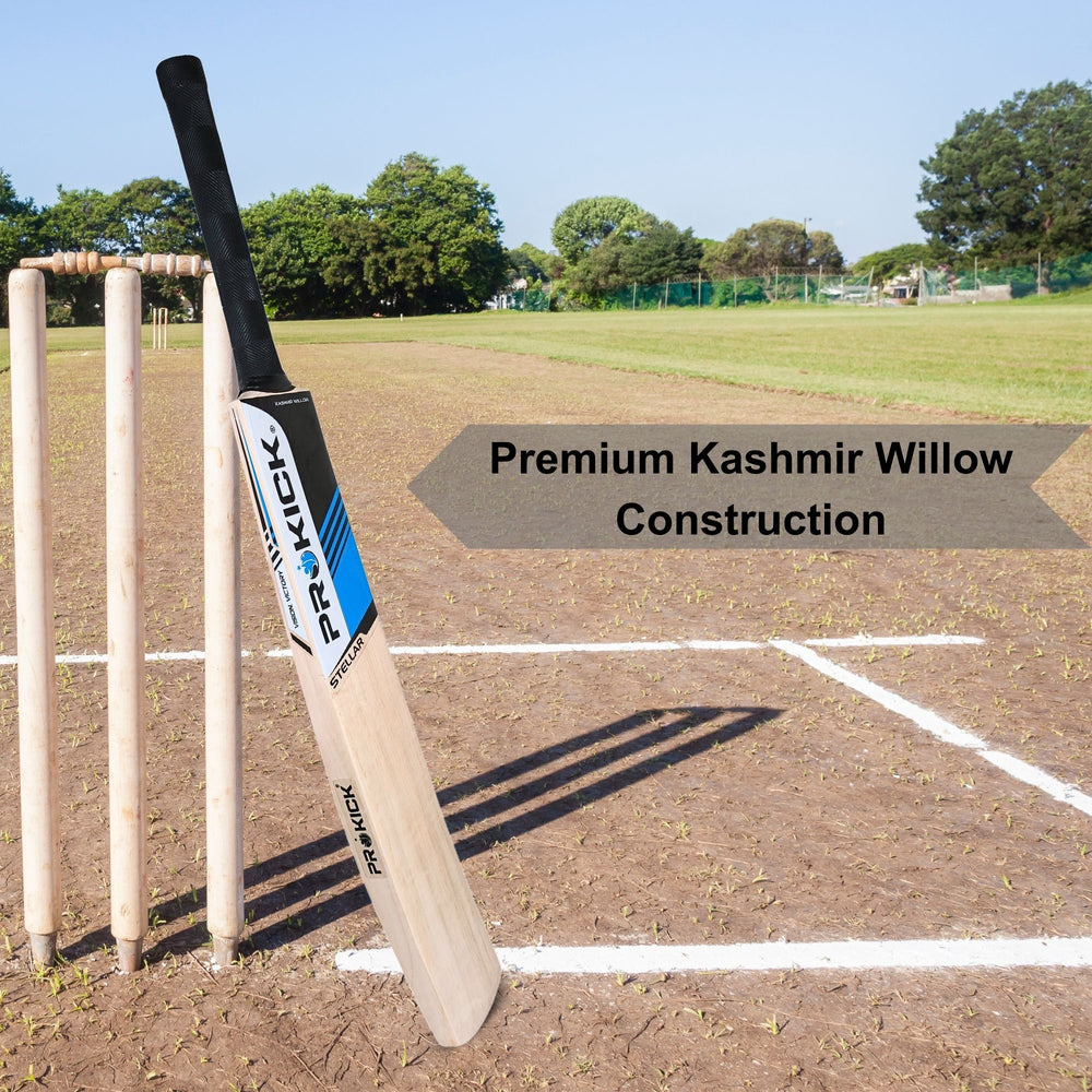 Prokick Stellar Kashmir Willow Cricket Bat - Best Price online Prokicksports.com