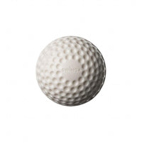 SG Swinga Technique Cricket Ball - White 1 Piece | Perfect for Swing Bowling Practice - Best Price online Prokicksports.com