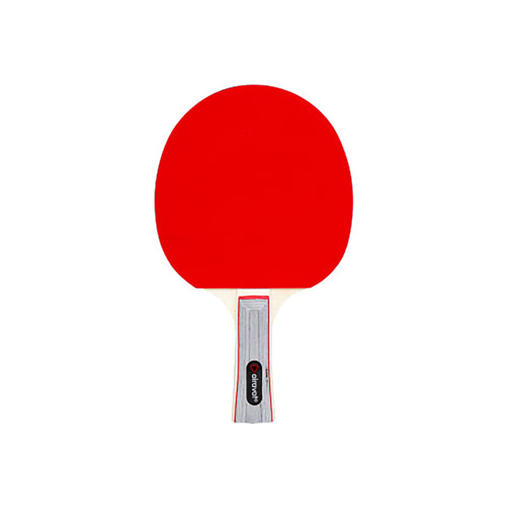 Airavat 7301 Table Tennis Racquet Set | 2 Bats & 3 Balls | Lightweight TT Set for Beginners & Intermediate Players | Indoor/Outdoor Use - Best Price online Prokicksports.com