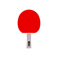 Airavat 7301 Table Tennis Racquet Set | 2 Bats & 3 Balls | Lightweight TT Set for Beginners & Intermediate Players | Indoor/Outdoor Use - Best Price online Prokicksports.com