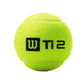 Wilson Titanium All Court Tennis Balls Dozen (4 Cans) - Best Price online Prokicksports.com