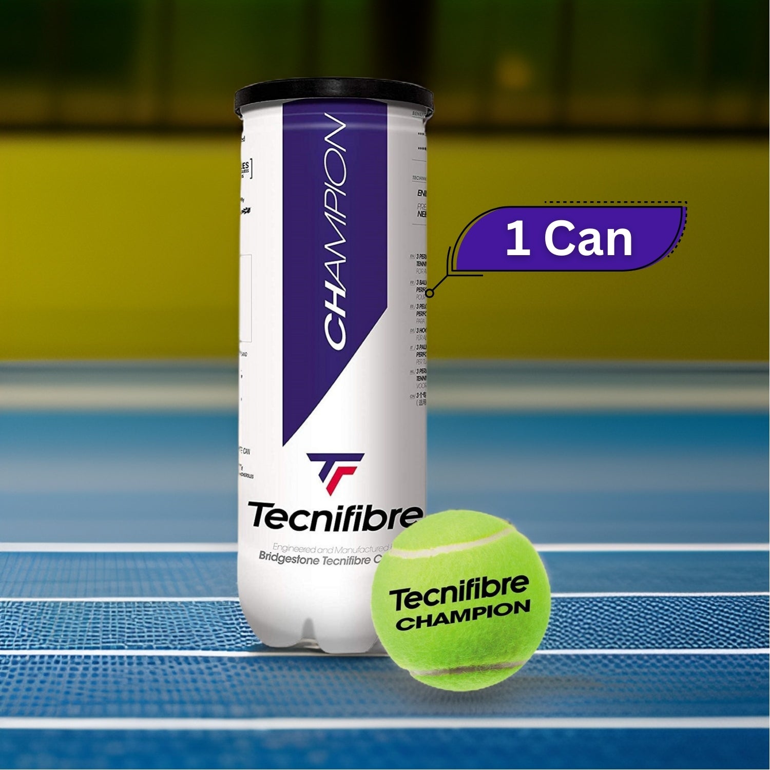 Tecnifibre Champion Balls Can (1 Can) - Best Price online Prokicksports.com