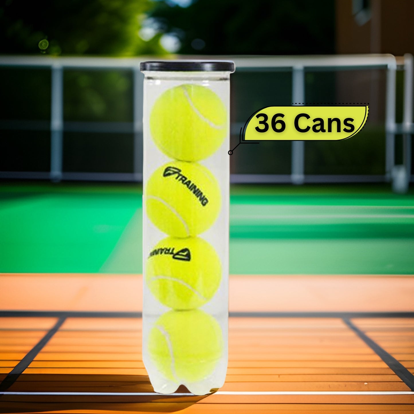 Tecnifibre Training New Tennis Balls Carton, 36 Cans (4 Ball Per Can) - Best Price online Prokicksports.com