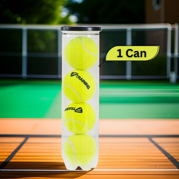 Tecnifibre Training Tennis Balls Can (1 Can)