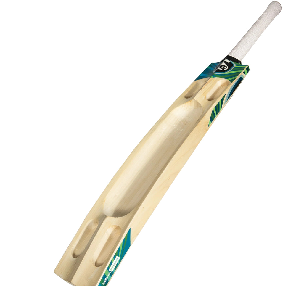 SG T-DOMINOR Kashmir Willow Cricket Bat – Short Handle (SH) – Durable, Lightweight & High-Performance Cricket Bat - Best Price online Prokicksports.com