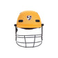 SG Ace Tech Professional Cricket Helmet – Lightweight Protective Helmet with Steel Grill and Ventilation for Comfortable Head Safety During Batting - Best Price online Prokicksports.com