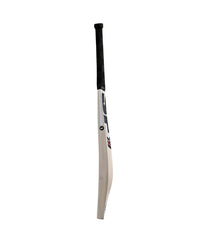 SF Almandus 12000 English Willow Cricket Bat | Grade 2 Hand-Crafted, Mid-Blade Swell, Generous Edges, Outstanding Pickup, SH, With Padded Cover - Best Price online Prokicksports.com