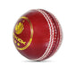 Prokick Campus Cricket Leather Ball Standard Size, 1Pc (Red) - Best Price online Prokicksports.com