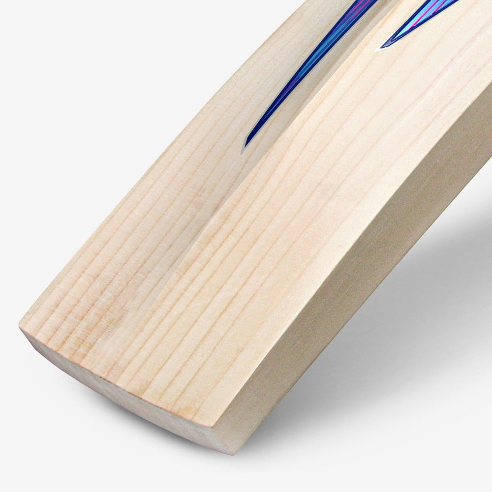 DSC BLU 500 English Willow Cricket Bat - image 5