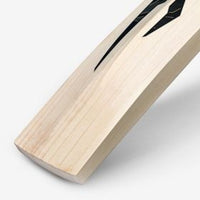 DSC BLAK 350 English Willow Cricket Bat - image 5