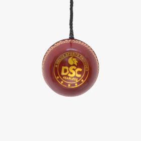 DSC Hanging Cricket Leather Ball - image 3