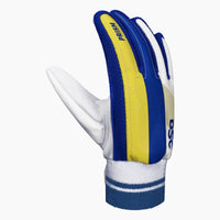 DSC Prism Indoor Cricket Batting Gloves - image 1