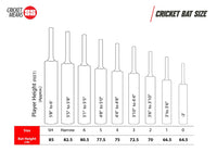 SS Champion English Willow Cricket Bat - SH (Short Handle) for Superior Performance - Best Price online Prokicksports.com