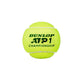 Dunlop ATP Championship Tennis Balls Dozen (4 Cans) - Best Price online Prokicksports.com