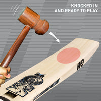 GM Diamond 606 English Willow Cricket Bat - image 5