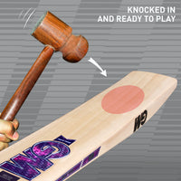 GM Galaxy 505 English Willow Cricket Bat - image 5