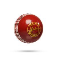 SG Incredi SNR Synthetic Cricket Ball - Red | Practice Ball | Pack of 1
