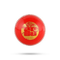 SS Gutsy (Alum Tanned) Cricket Ball - Red | 156g