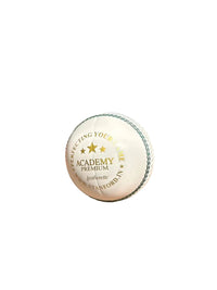 SF Academy Premium Cricket Ball | White Leatherette Match Ball | Pack of 6