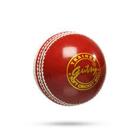 SG Incredi SNR Synthetic Cricket Ball - Red | Practice Ball | Pack of 1