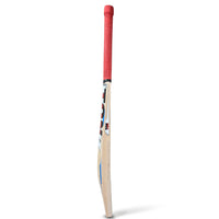 SS TON Maximus Kashmir Willow Cricket Bat | Grade 3 Kashmir Willow Bat with Massive Sweet Spot & Balanced Pickup - Best Price online Prokicksports.com