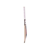 SG KLR Plus Kashmir Willow Cricket Bat | High-Performance Hard-Pressed Kashmir Willow Bat | Size 6 - Best Price online Prokicksports.com