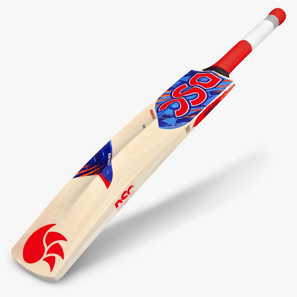 DSC Roar Hunter Kashmir Willow Cricket Bat | Lightweight Kashmir Willow Bat with Hex Grip & Crossweave Edge Protection - Best Price online Prokicksports.com