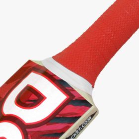 DSC Roar Terra Kashmir Willow Cricket Bat - image 3