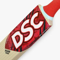 DSC Roar Terra Kashmir Willow Cricket Bat - image 4