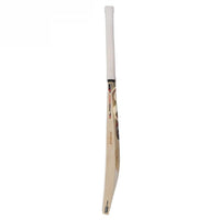 SG Roar LE Grade 2 Worlds Finest English Willow Bat - Best Price online Prokicksports.com